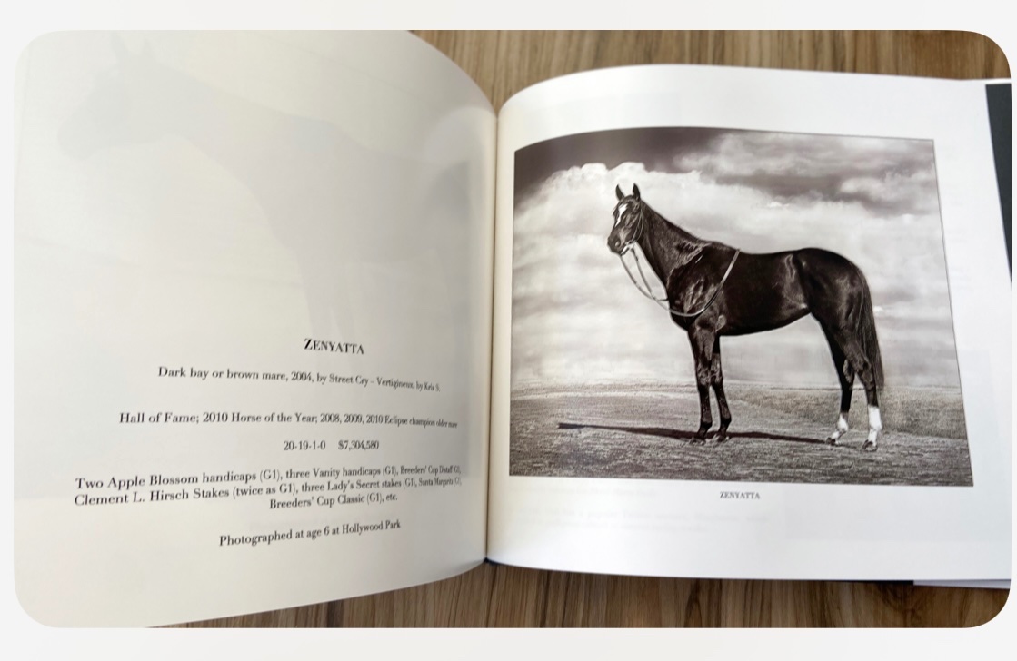 Mane Characters Equine Reserve & Retirement tweet media
