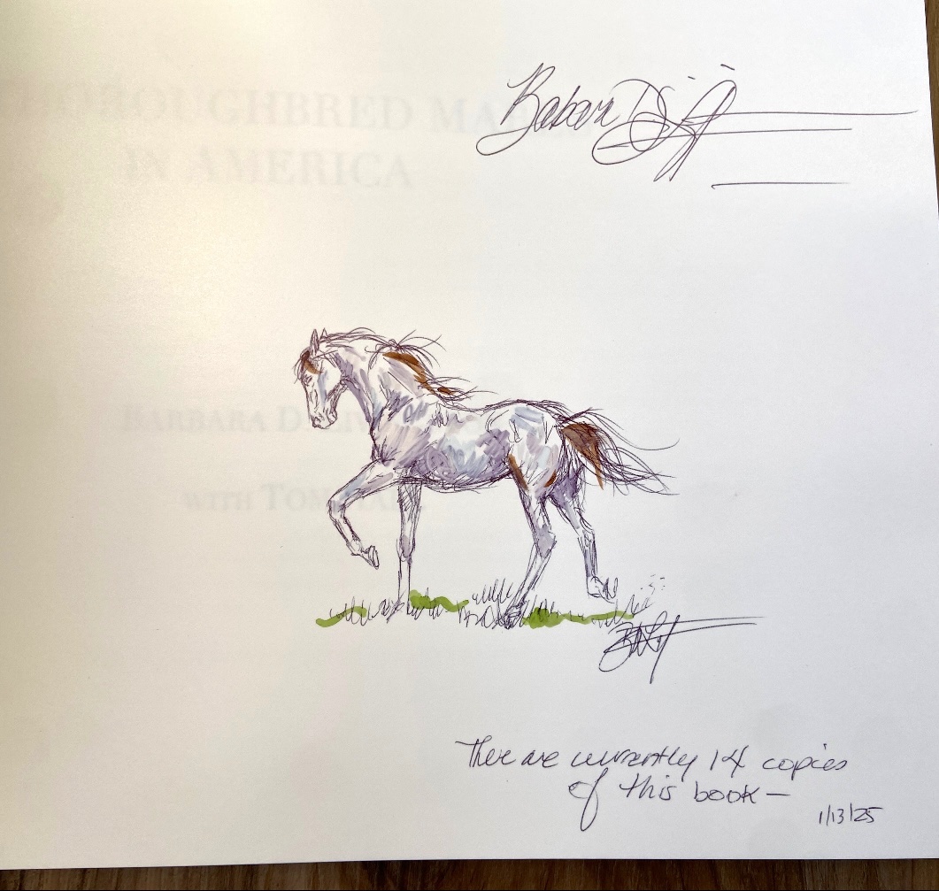 Mane Characters Equine Reserve & Retirement tweet media