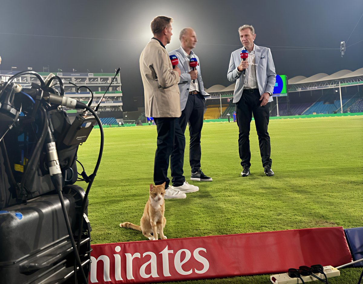 mufaddal_vohra's tweet photo. A cat interfered during the Sky Sports post match analysis. 😄 https://t.co/NX208kGX0c