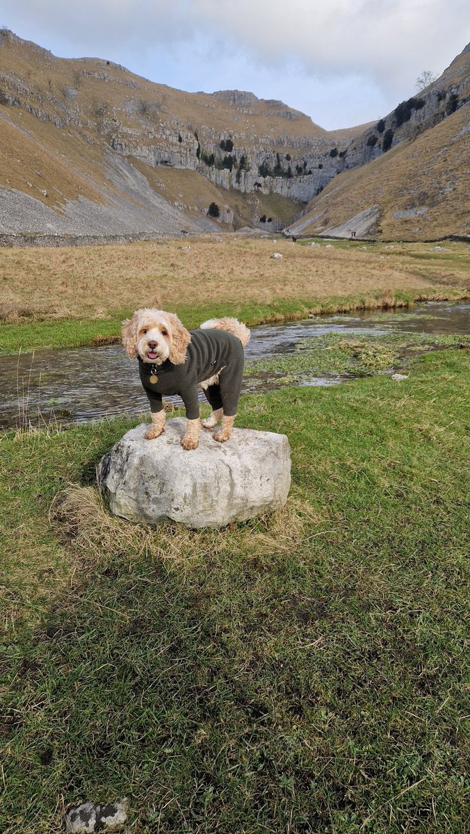 Bethany🦋 tweet media