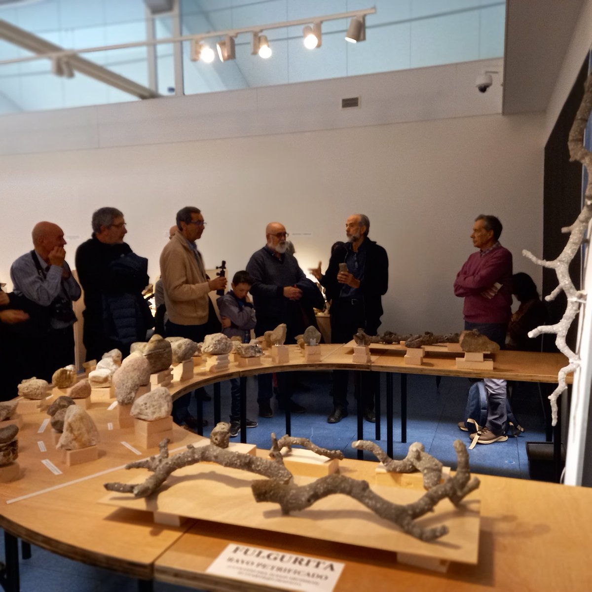 eduer2010's tweet photo. ¡Exposición única, una maravilla! Es lo que han expresado las personas que han participado de la visita guiada de Martín Fernández. Éxito rotundo en la primera actividad promovida por ANAPRI Asociación Naturalista Primilla de #ColmenarViejo https://t.co/JKdS6sMALE