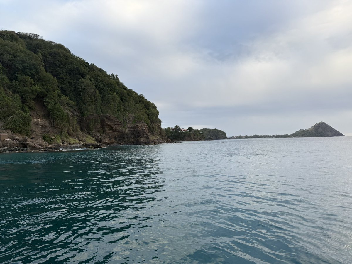 coyote ⌖ tweet media