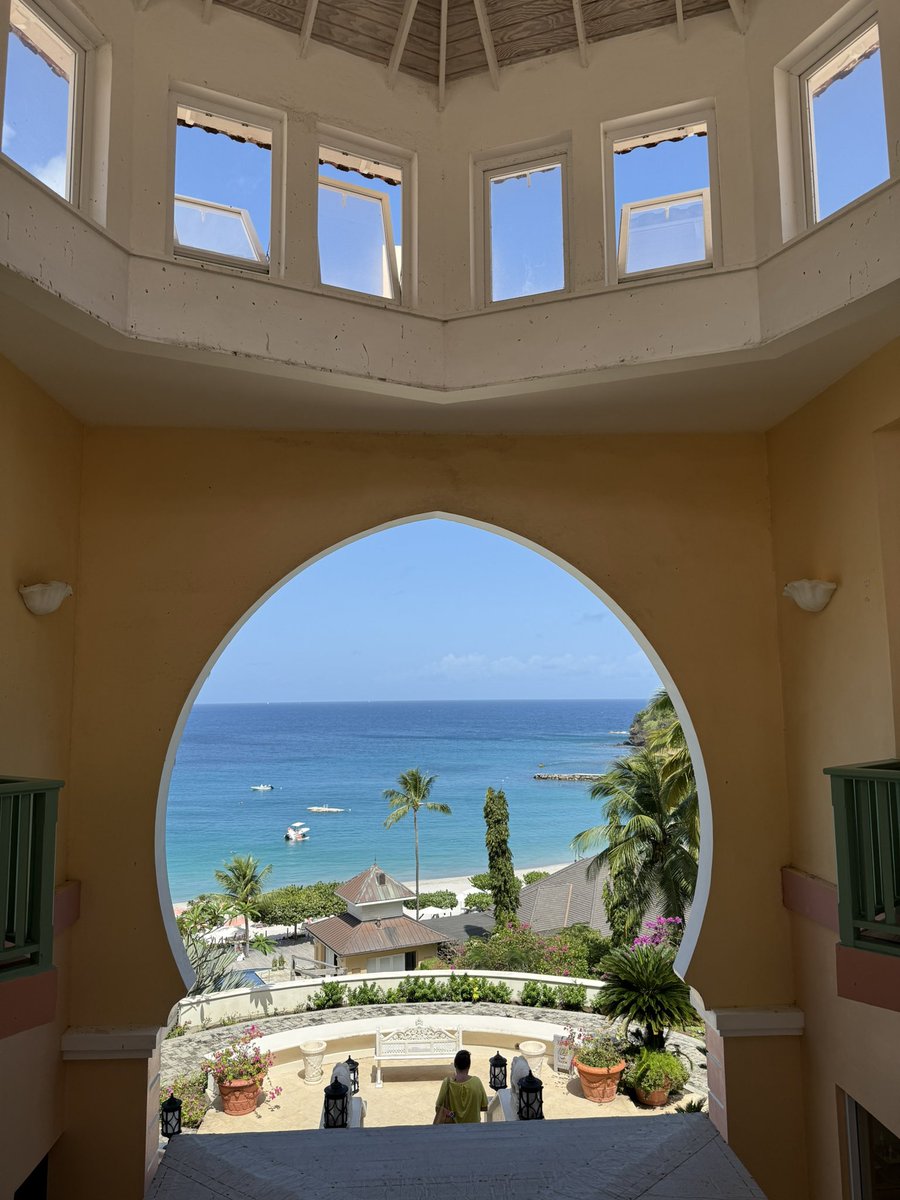 coyote ⌖ tweet media