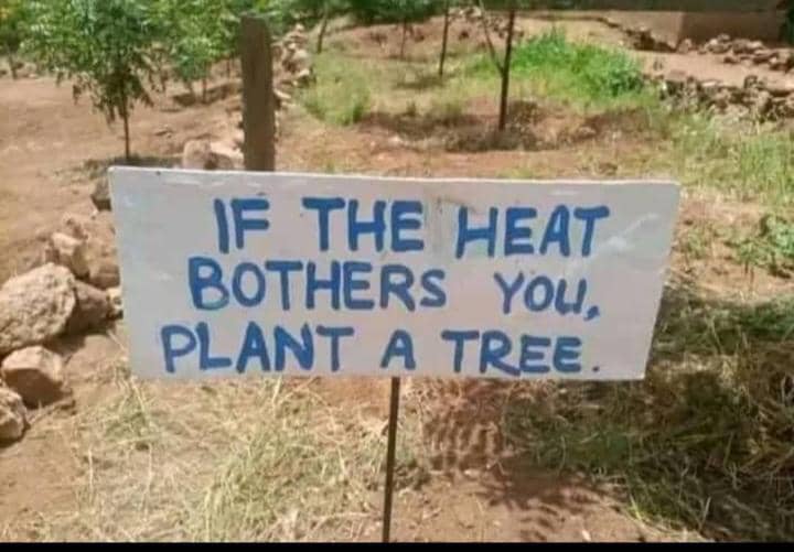 Padde Daniel🇺🇬🌴 tweet media