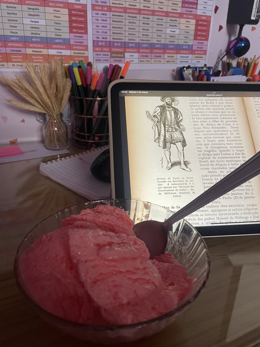 mariadstudies's tweet image. Minha mãe é uma querida, me incentiva muito nos estudos e ainda cuida de mim. Falei que tava com vontade de tomar sorvete mas tá tudo fechado aqui em Recife por conta do carnaval, a diva foi lá e fez um sorvete de morango pra mim. Se eu for 1% do que ela é, vou ser uma ótima mãe.