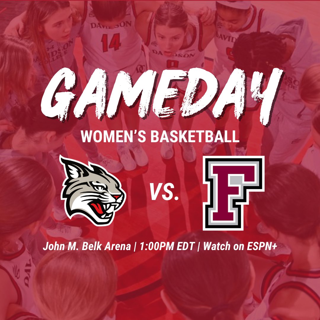 'Cats Stats tweet media