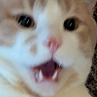 Majoras_MaskVT's tweet image. space? twitch.tv/majoras_io