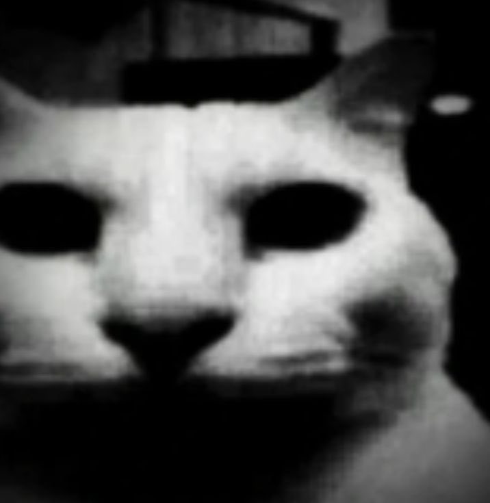 argale.

kegiatanㅤ️ㅤ️ㅤ️ㅤ️ㅤ️ㅤ️ㅤ️ event ts
bulan puasaㅤ️ㅤ️ㅤ️ㅤ️ㅤ️  heaven slave