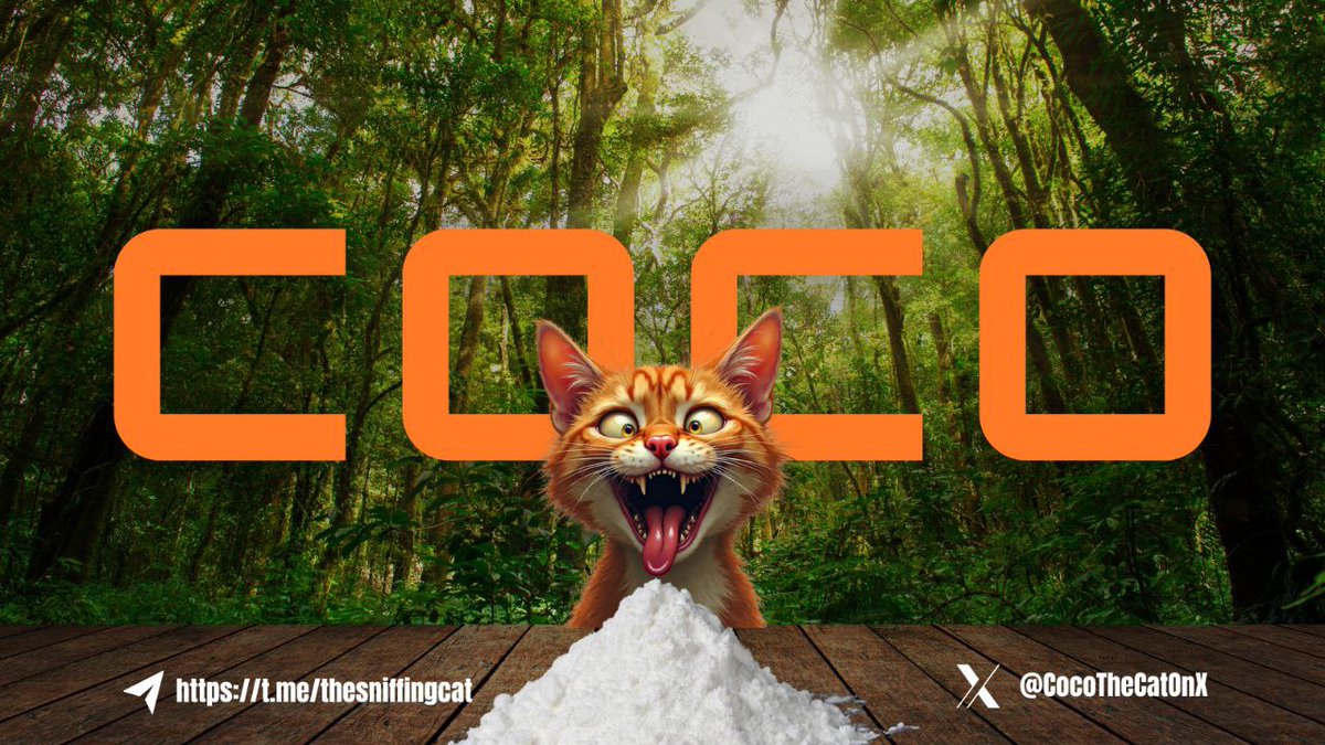 LilDiabloRIPP's tweet image. Your only chance of making it out is buying $COCO