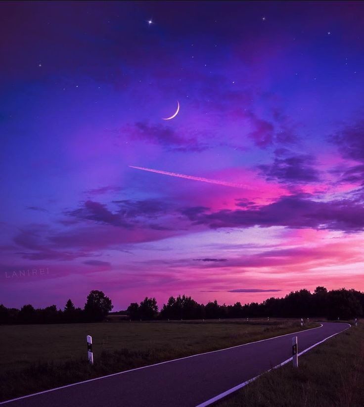 violettweets_'s tweet photo. lavender haze. https://t.co/CaIXfm7tmT