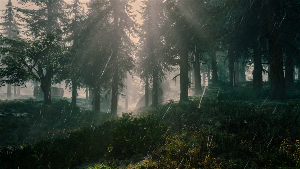 Giulia_Cereza's tweet photo. Days gone 🖤~PC
#daysgone #virtualphotography #pcgaming #Bend30 #VPRT
#VPMPhoto https://t.co/FsWsrBducz