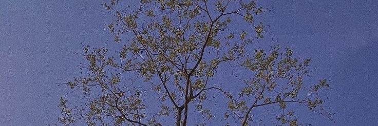 С первым днём весны💫🌷