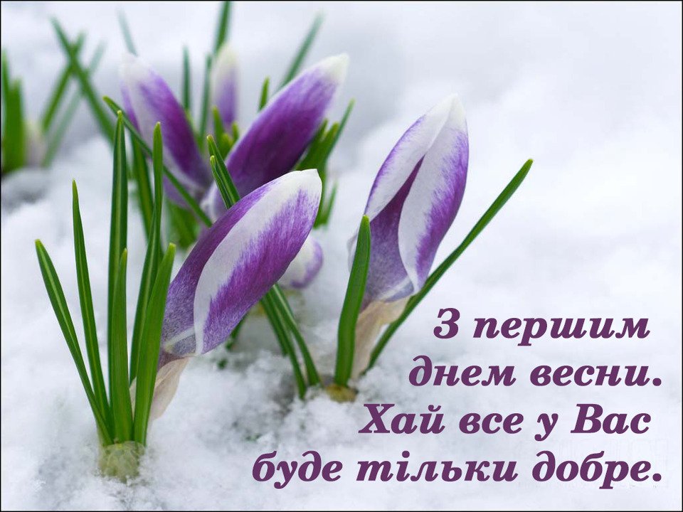 _anyutka95_'s tweet photo. Дочекалися весни, Вітаю!🤗 https://t.co/PeJNh0Y3Mr
