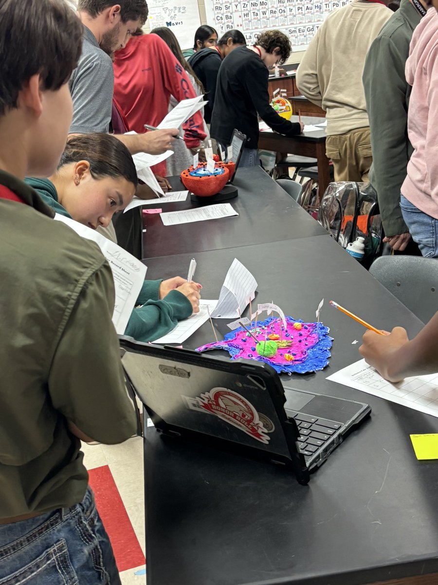 8th grade Science students engaged in their learning! 
#cognitiveengagement 
#8thgradeteam
<a href="/SmithMS_CFISD/">Smith Sabercats</a>