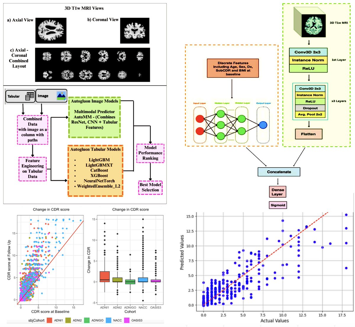 CHALLENGE*: CAN YOU USE AI to PREDICT who will get Alzheimer's Disease in the next 2 years? 
💡Our new paper [1] merges raw 3D MRIs, straight from the scanner, with clinical data to predict decline* across the Alzheimer spectrum
🔥Drop in clinical dementia rating "sum of boxes"