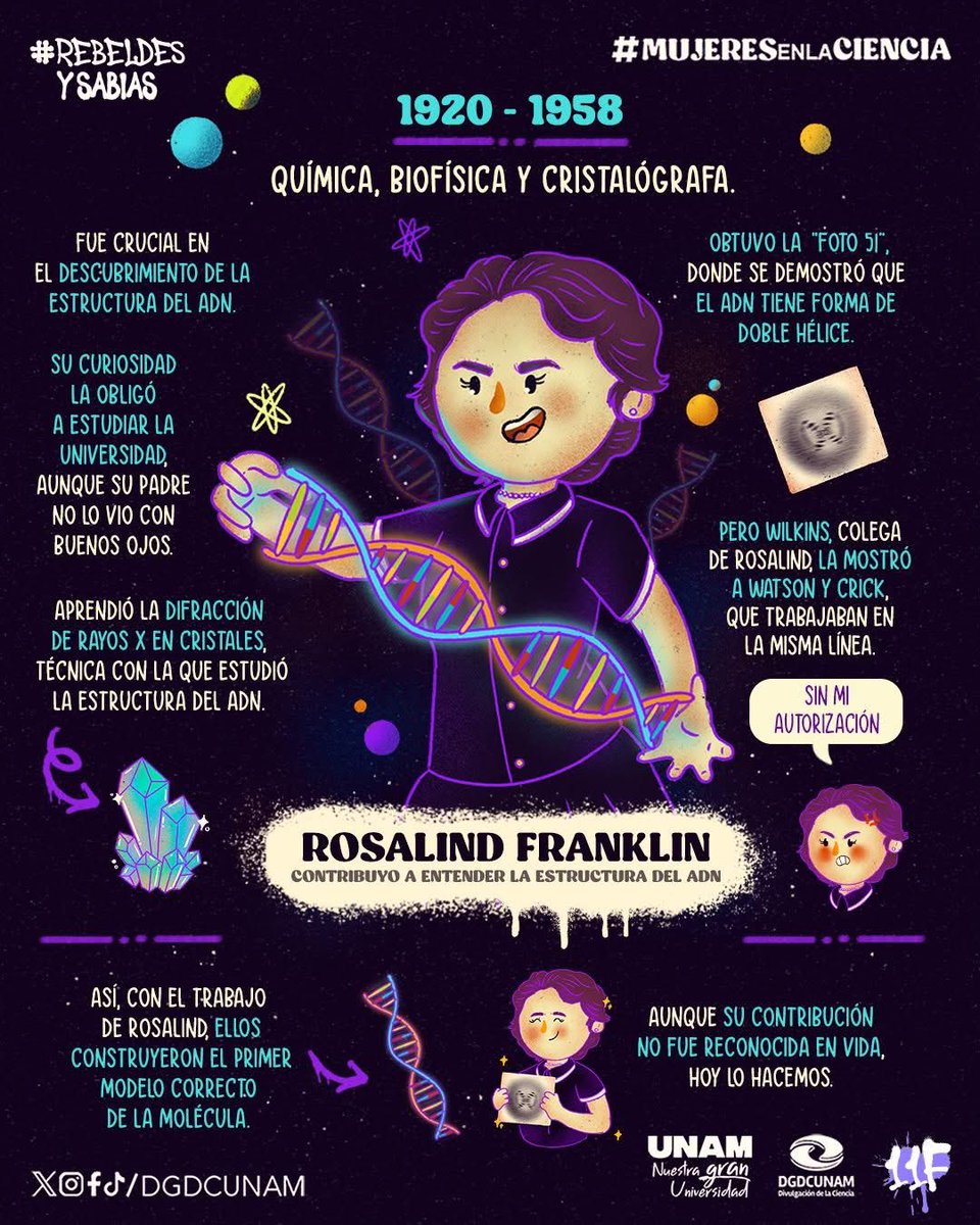 DGDCUNAM's tweet photo. 🧬Rosalind Franklin fue fundamental en el descubrimiento de la estructura del ADN, pero no la reconocieron y esta falta de reconocimiento es una historia que no debe repetirse. 🧬

#MujeresEnLaCiencia
#RebeldesySabias https://t.co/Z3oeUyes7B