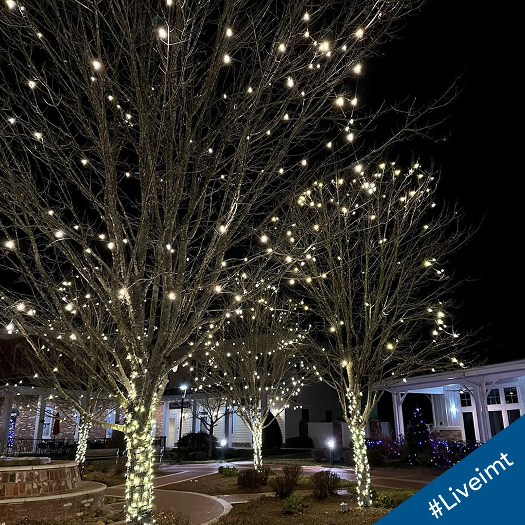 Our latest #Liveimt contest winner for the month is Yelyzaveta A. from IMT Ballantyne! 🏆📸 You've just won $100 off one month's rent! 🏠💰

Enter to win in 2 steps:
1) Post a photo at your community and include #Liveimt in the caption 📸
2) Tag &amp; follow <a href="/imtResidential/">IMT Residential</a>