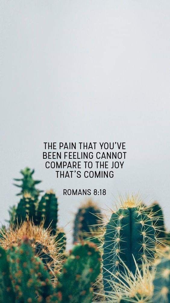 ✝️