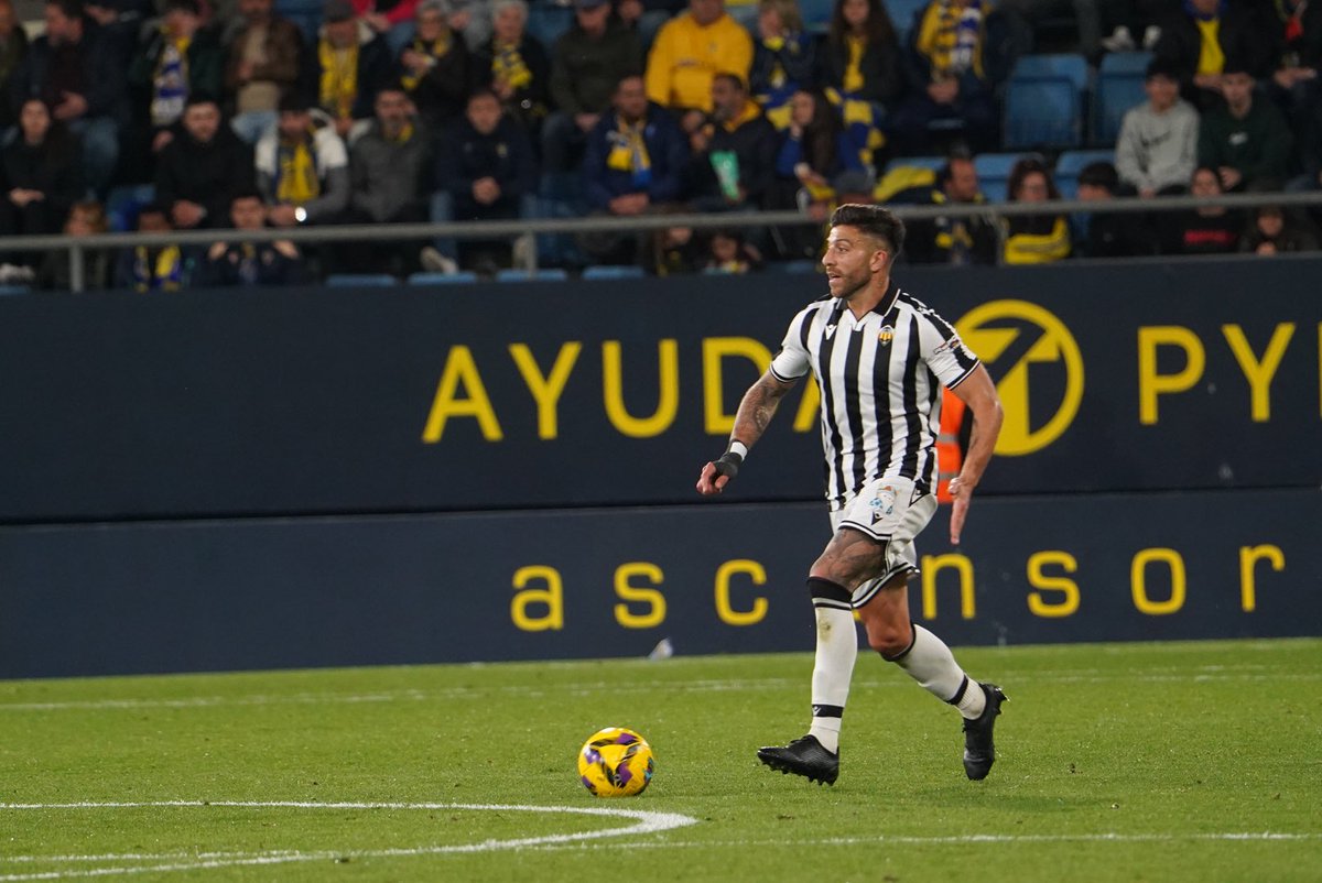 Gio Zarfino tweet media