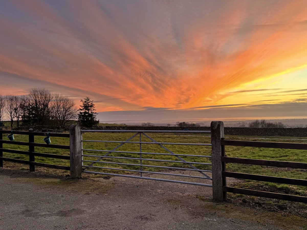 At the end of the day gate 😊