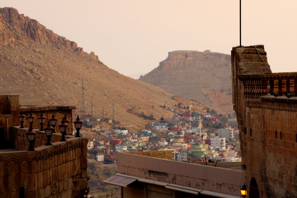 ARYA PALEOUS photo (@arya_paleous2) on Twitter photo 