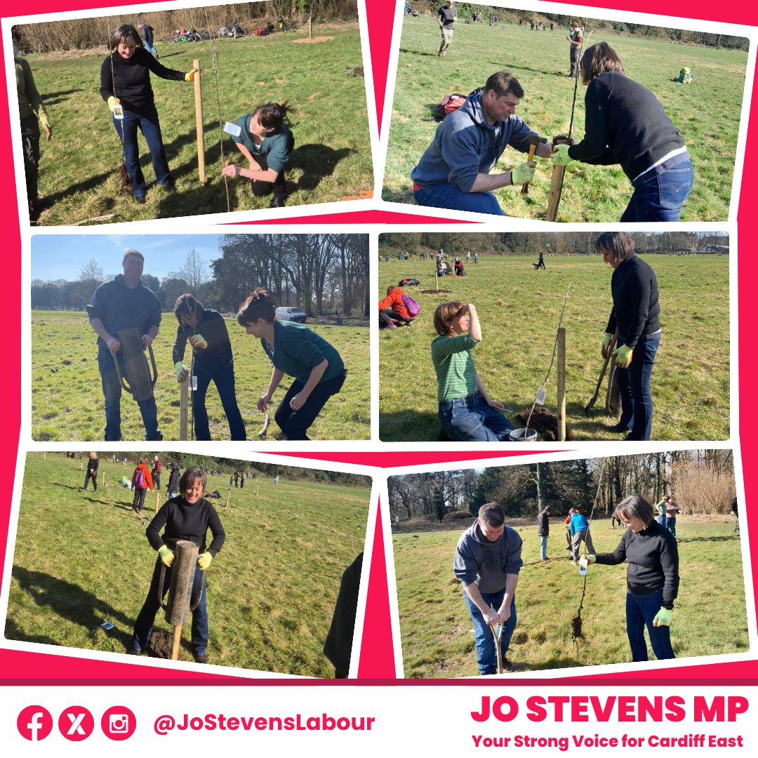 Jo Stevens (@jostevenslabour) on Twitter photo The #Gabalfa apple tree variety, made famous by Andrew Pettigrew had been lost for more than 100 years.
This #StDavidsDay, I joined Mel Boothman and #Cathays Cllrs <a href="/Merryse235/">Sarah Merry</a> and <a href="/cathayschris/">Chris Weaver</a> at <a href="/buteparkcardiff/">Bute Park</a> to re-plant these historic trees and preserve our local heritage. The #Gabalfa apple tree variety, made famous by Andrew Pettigrew had been lost for more than 100 years.
This #StDavidsDay, I joined Mel Boothman and #Cathays Cllrs <a href="/Merryse235/">Sarah Merry</a> and <a href="/cathayschris/">Chris Weaver</a> at <a href="/buteparkcardiff/">Bute Park</a> to re-plant these historic trees and preserve our local heritage.