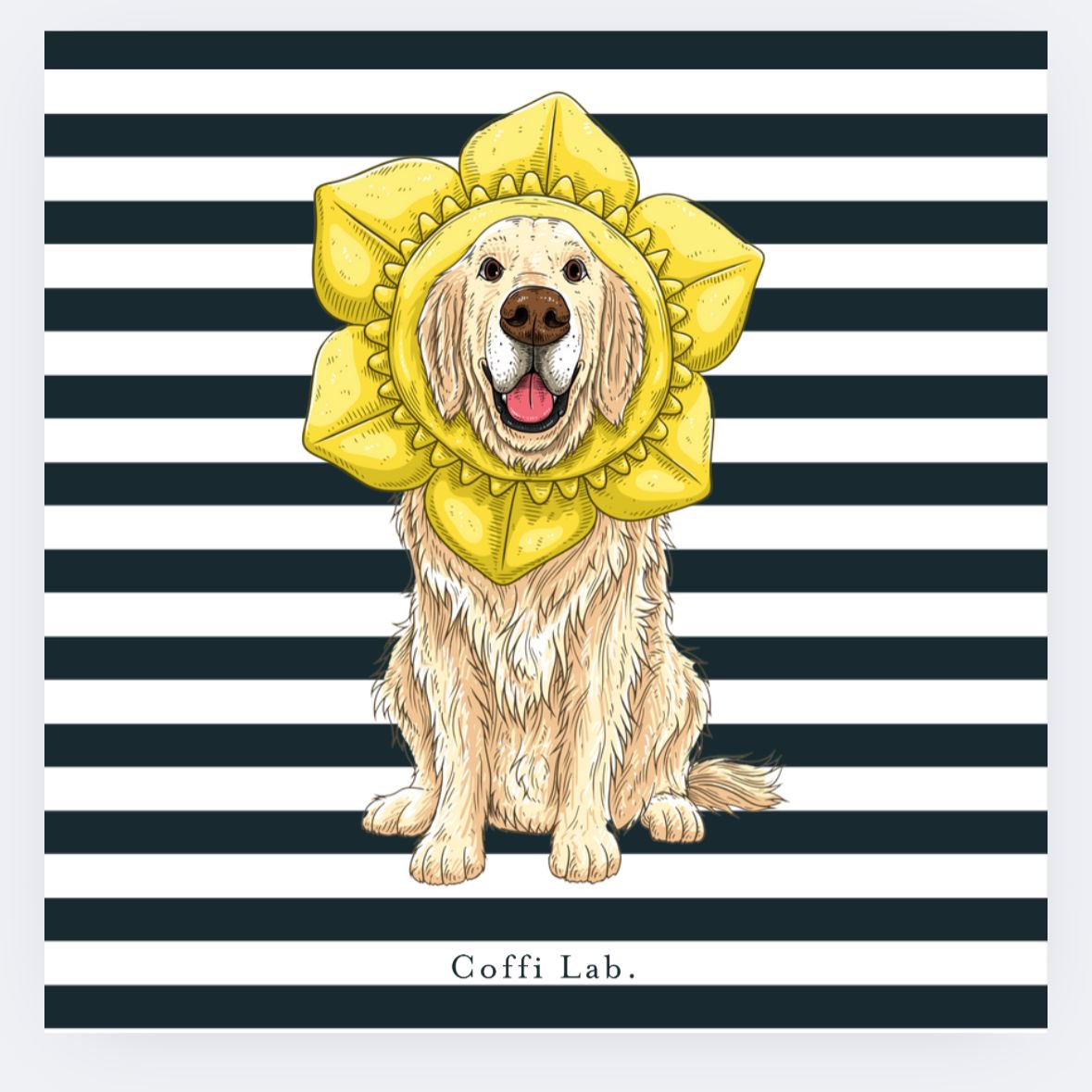 Dydd Gŵyl Dewi Hapus 🏴󠁧󠁢󠁷󠁬󠁳󠁿 

Happy St David’s Day from our little ray of sunshine!

#coffilab #coffilabdogs #wales #dyddgŵyldewihapus #stdavidsday