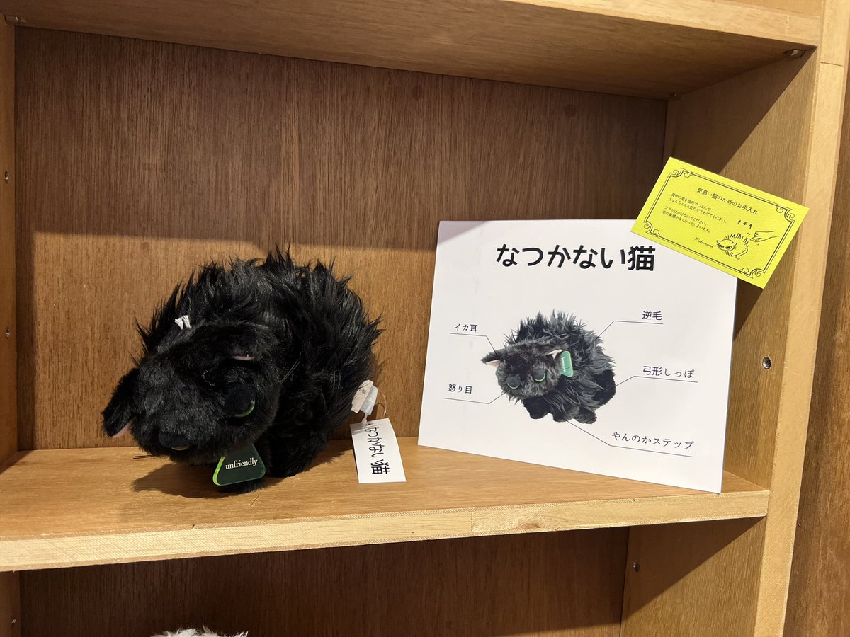 せこなお on X: 
