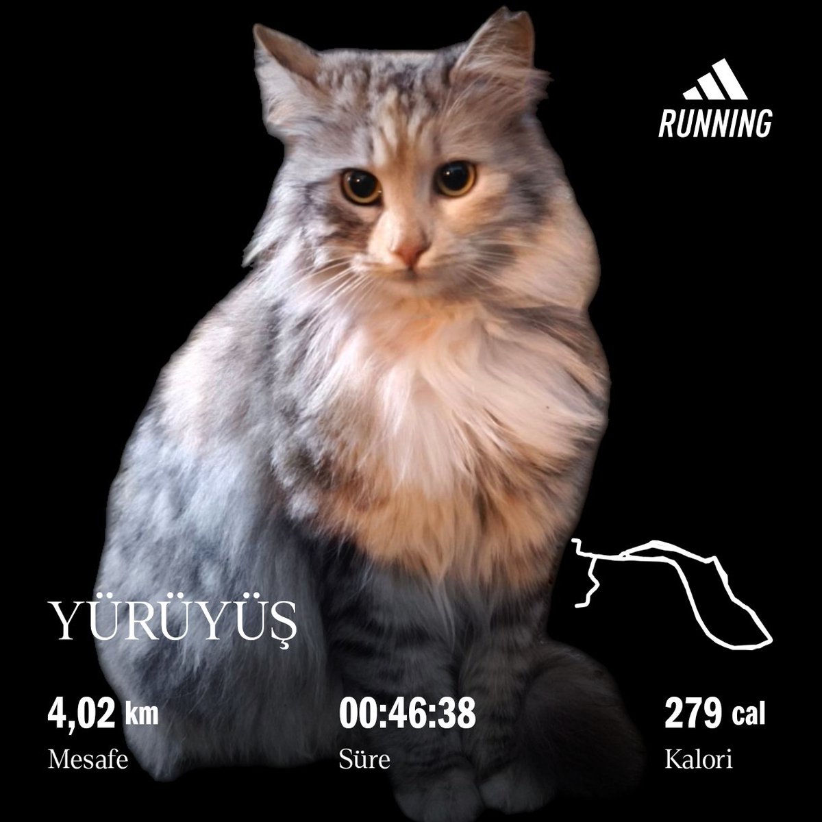 hakancolakcom's tweet image. İftardan sonra koşamayabilirsin ama yürüyebilirsin. Mutlaka hareket edin. 

#Walk, #WalkDay, #Workout