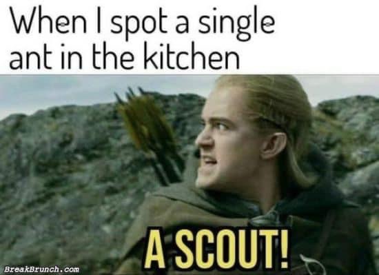 #LordOfTheRings