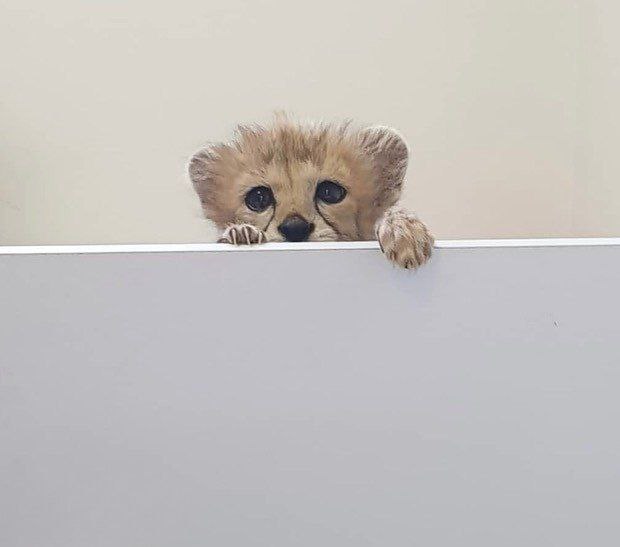 <a href="/lemoony1853/">TooFan</a> <a href="/LucieSHIB/">𝐋𝐔𝐂𝐈𝐄</a>