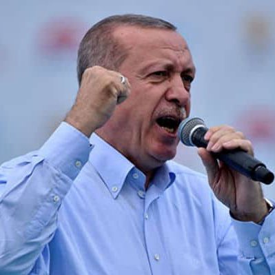 Erdoğan: 

"Uzattığımız elin havada bırakılması ya da ısırılması halinde demir yumruğumuzu hazırda tutuyoruz."