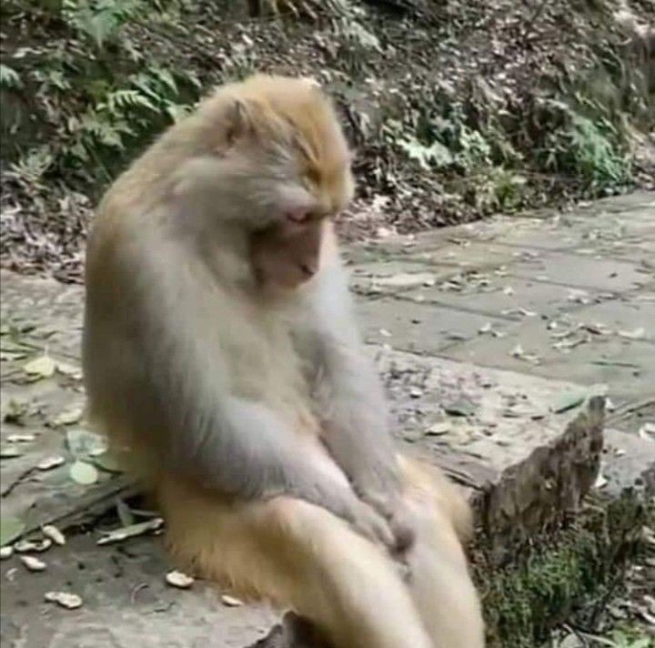I need to start hiding my money from myself