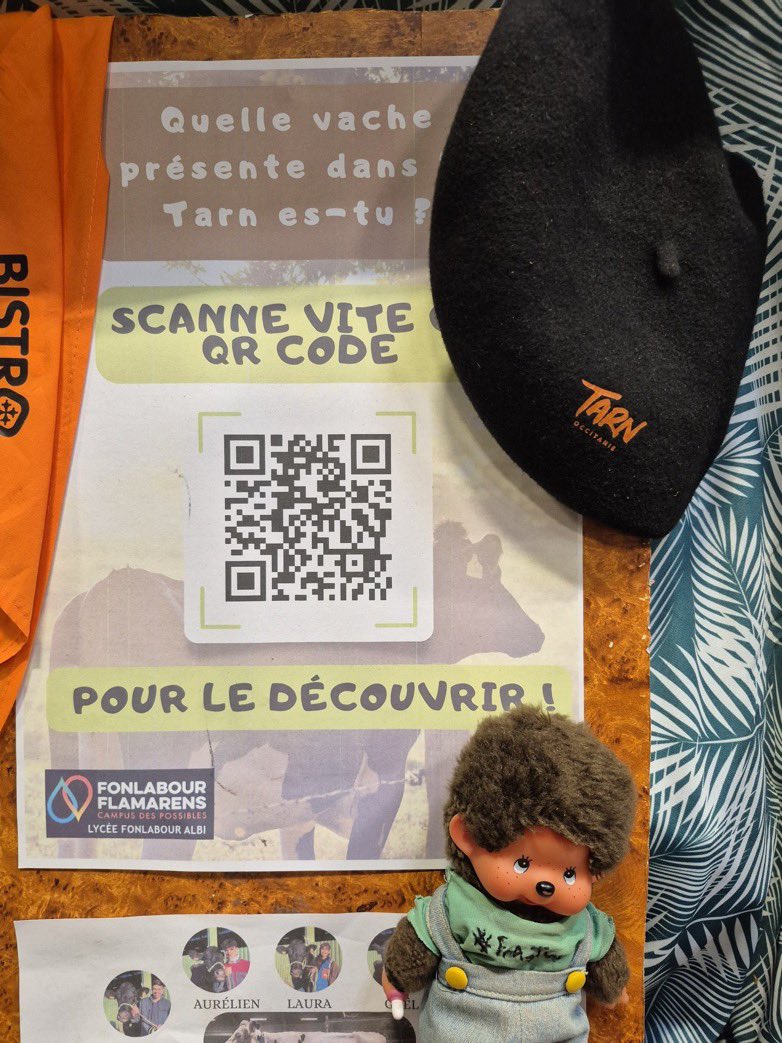 Après ça, j'ai découvert le stand des élèves. L'occasion pour moi de découvrir le Tarn et ses productions ! J'ai fait un test pour savoir quelle vache je suis, c'était drôle ! Et j'ai appris quelques mots d'occitan avec Sépia. C'était très intéressant !

#FrAgTw