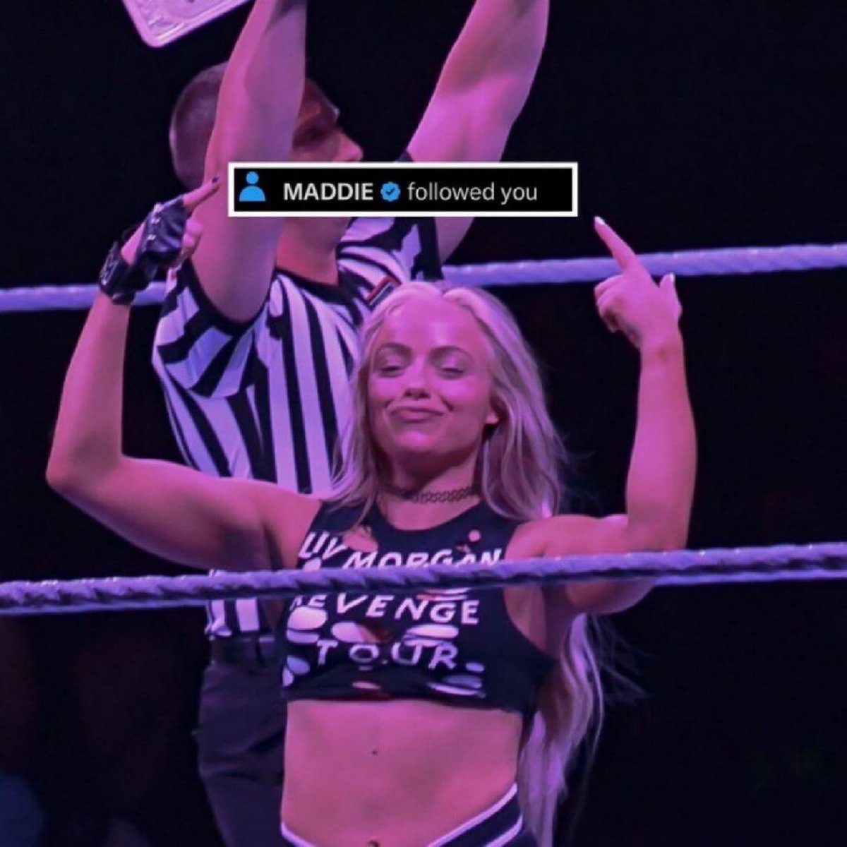 maddiemania_'s tweet photo. I’m going to follow back as many of yall as I can until the end of #EliminationChamber! 

Reply with your fave wrestling GIF for a follow back and repost so more wrestling fans can connect🤍✨ https://t.co/9WokZDyd7y