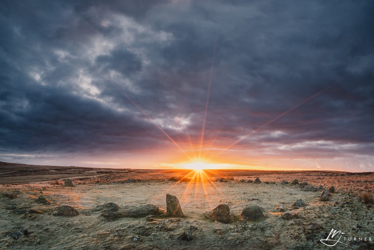 MJTurnerPhotography tweet media