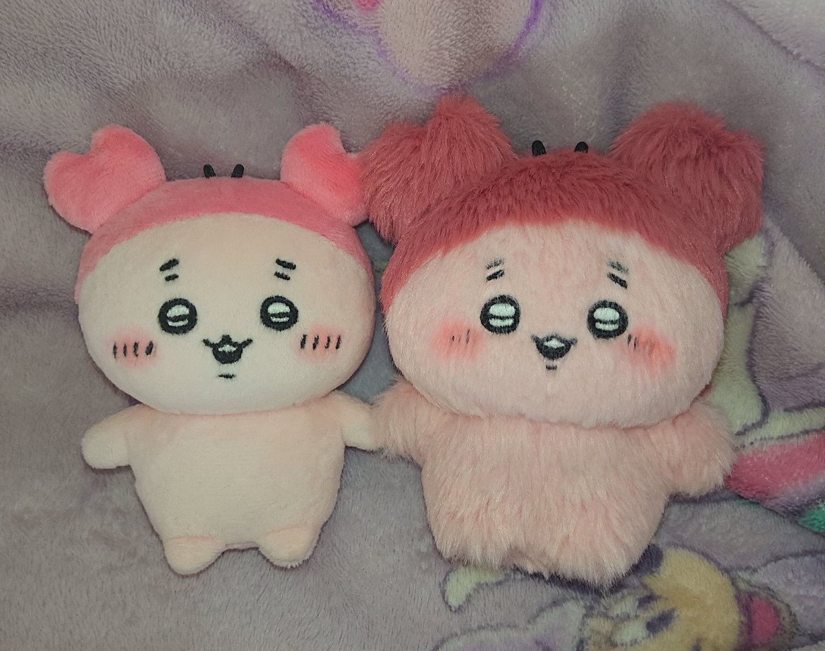 みぃや (@pgakht065594) / Posts / X