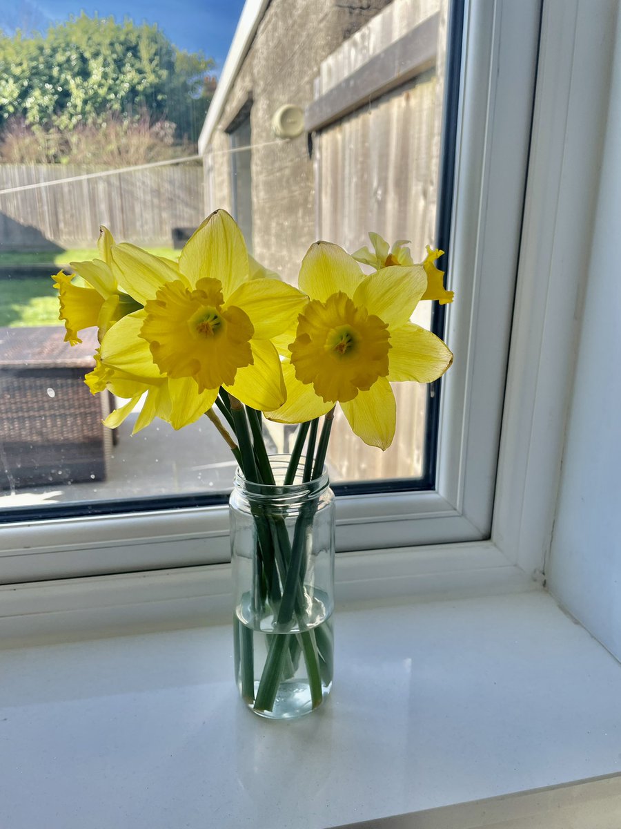 Happy St David’s Day! Dydd Gŵyl Dewi Hapus! 🌼🏴󠁧󠁢󠁷󠁬󠁳󠁿
