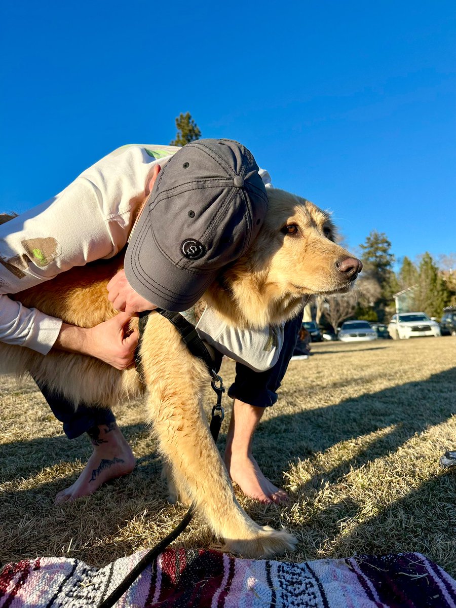 The weekends are for USDC &amp; dogs. https://t.co/stak0YVhAv