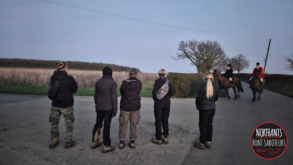 The Cottesmore have just been packed up by a dedicated team of hunt sab volunteers!✊️🦊 
They spent the entire day illegally hunting around the Wymondham/Gunby areas and at least two foxes were seen to safety thanks to sabs putting themselves on the front line! 👊
#foxhunting