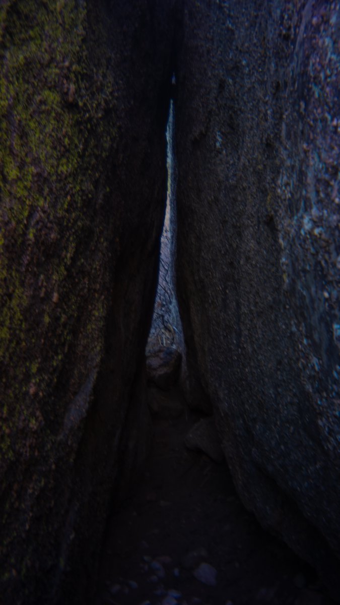 tomatomoder's tweet image. #DevilsBackbone #HikingAdventures #FilmLook #SonyA6000 #PocketDispo #MountainViews #Colorado