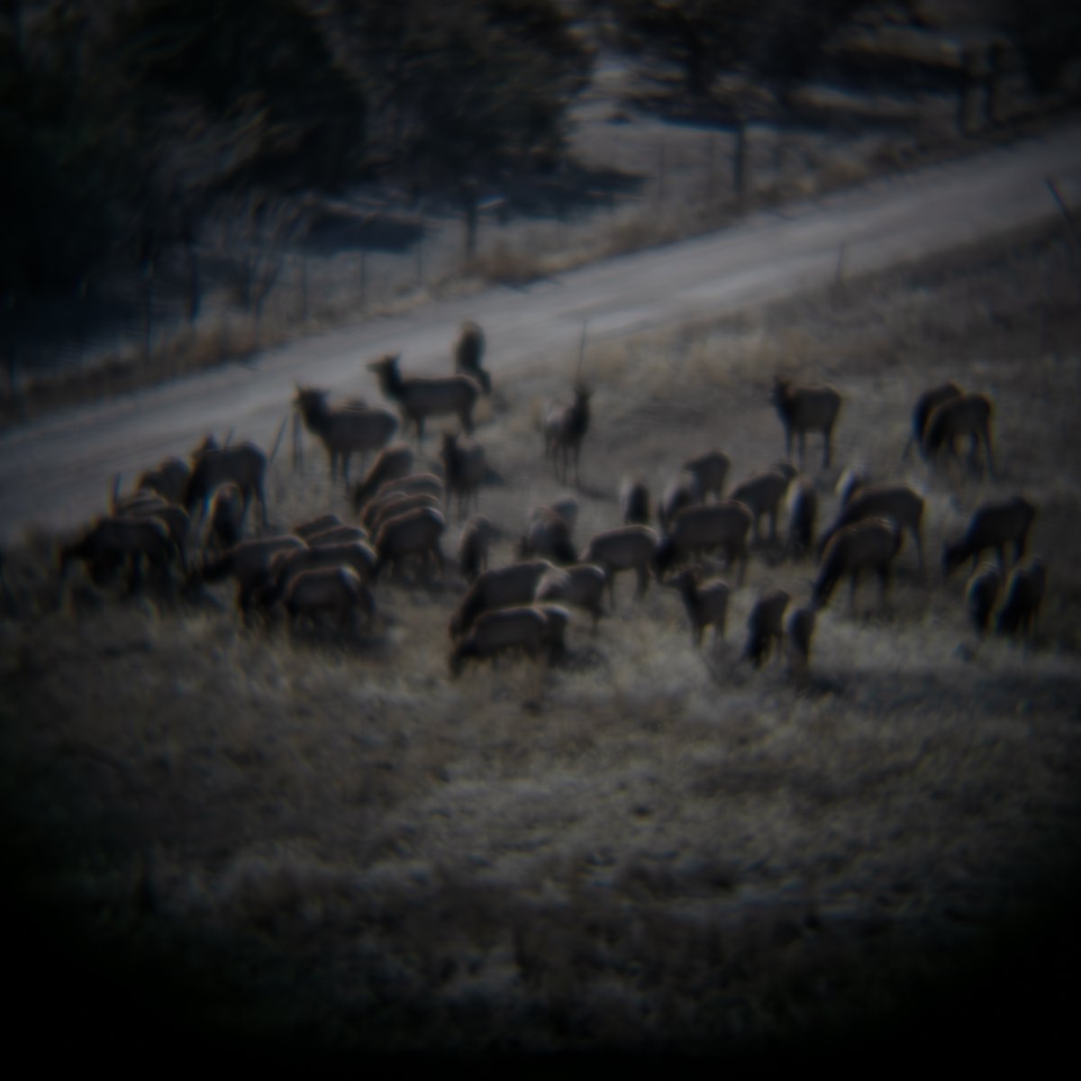 tomatomoder's tweet image. #DevilsBackbone #HikingAdventures #FilmLook #SonyA6000 #PocketDispo #MountainViews #Colorado