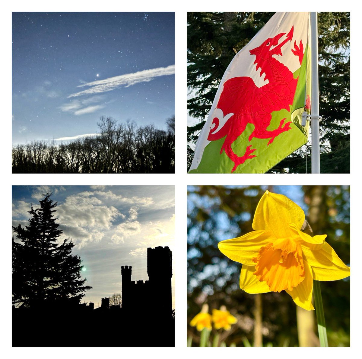 JetMan_Dave's tweet photo. Happy St David’s Day 🏴󠁧󠁢󠁷󠁬󠁳󠁿 Dydd Gwyl Dewi Hapus 🏴󠁧󠁢󠁷󠁬󠁳󠁿 🌼 🪐 🏰 🌌 https://t.co/jT64DQiVQm