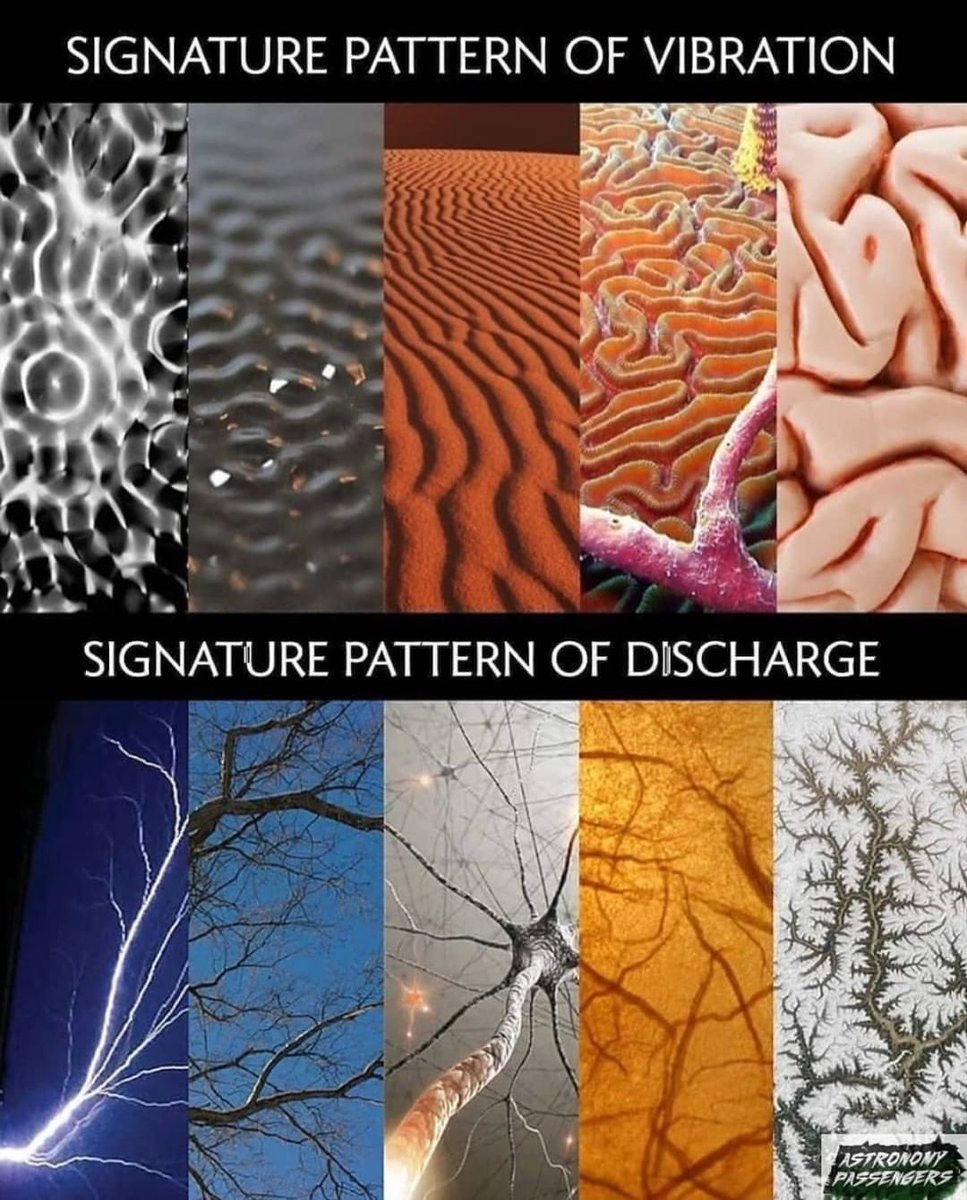 0ccultbot's tweet image. 