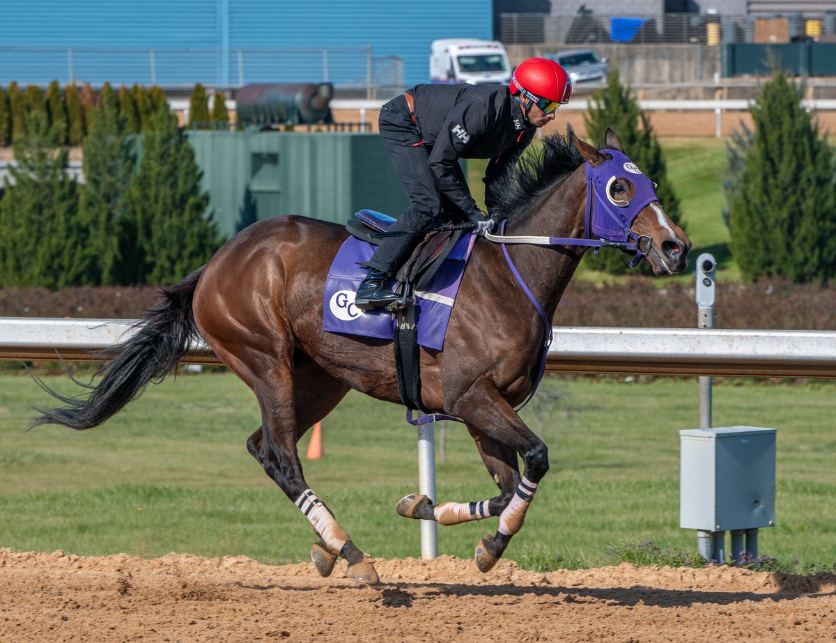 Robert Yates (@robertyates1982) on Twitter photo Claret Beret, under <a href="/JockeyRamonVazq/">RAMON VAZQUEZ</a>, galloping out after a half-mile work Saturday morning for North Little Rock native <a href="/GregCompton9/">Greg Compton</a>. Claret Beret entered in R9 Friday at Oaklawn ($131,000 F&M ALW). Claret Beret, under <a href="/JockeyRamonVazq/">RAMON VAZQUEZ</a>, galloping out after a half-mile work Saturday morning for North Little Rock native <a href="/GregCompton9/">Greg Compton</a>. Claret Beret entered in R9 Friday at Oaklawn ($131,000 F&M ALW).