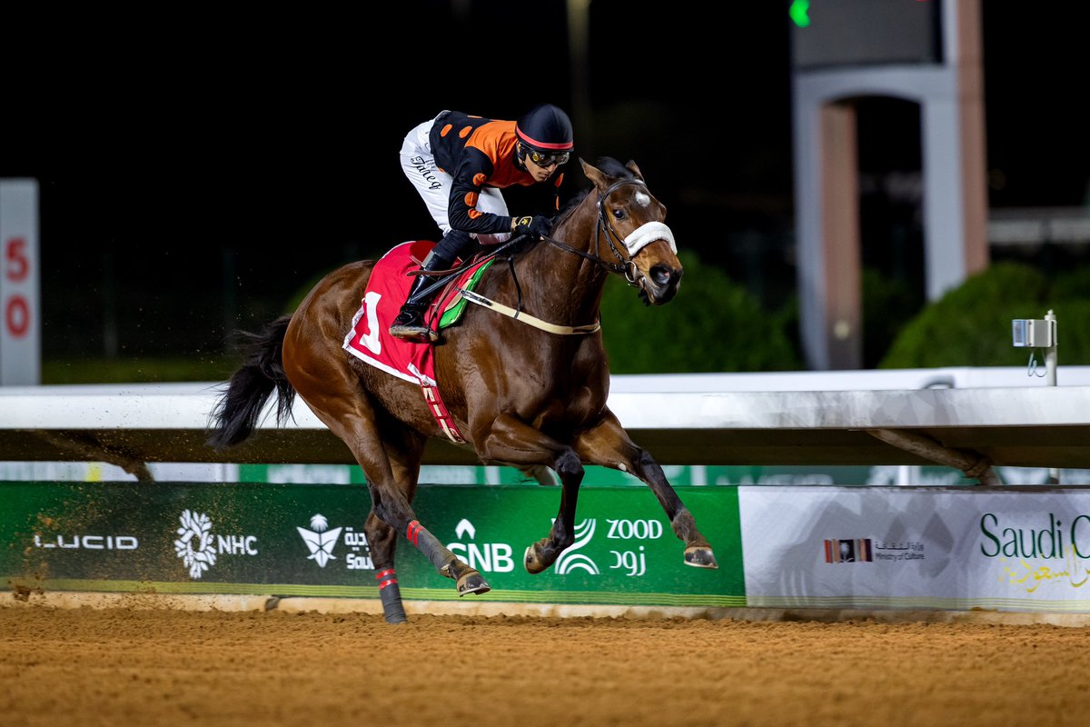 JockeyClub_SA's tweet photo. نتيجة الشوط الـ 3 الحفل ( 95 ) 

◻️الفائز : مسميه
◻️المالك : محمد علي عيد ابواثنين
◻️المدرب : فهد مسلط
◻️الخيال : طارق المنصور
◻️المسافة : 1400م

#نادي_سباقات_الخيل 🐎 https://t.co/afOuZSpQbz