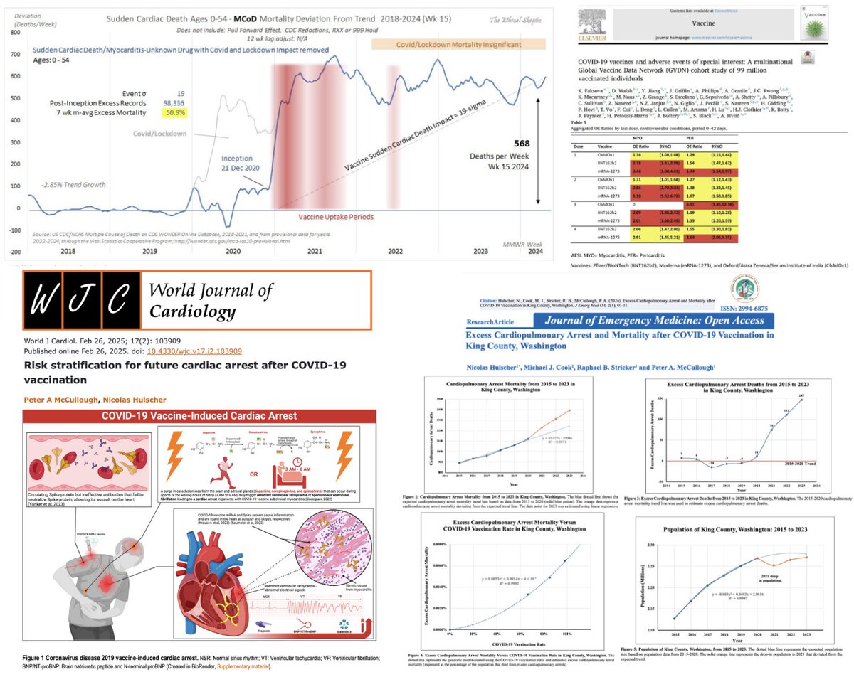 NicHulscher's tweet photo. Let's be very clear ... ever since the mass COVID-19 genetic injection campaign, we had the most dramatic inflection point in fatal turbo cancers and cardiac arrests. https://t.co/g3Iic0OfJW