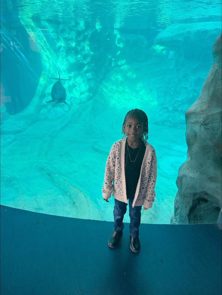 MrsQJackson's tweet photo. I enjoyed experiencing my daughter’s first school field trip &amp; first school bus ride with her! 💕 #PreK #extraORRdinary https://t.co/nnoHm0q7Wc