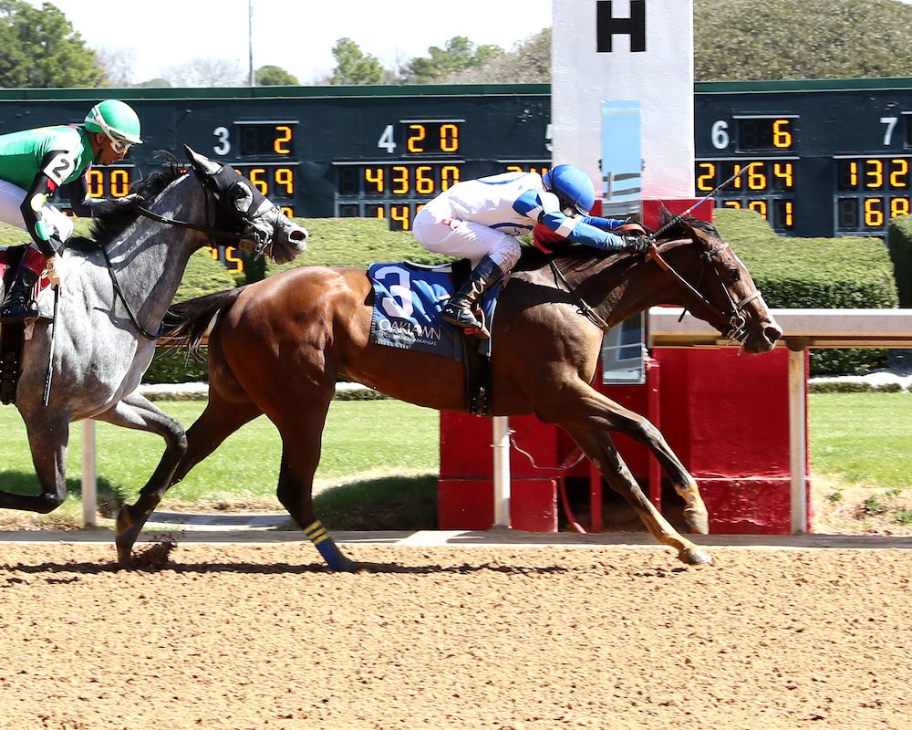 Shepherd Equine Advisers (@optimal_matings) on Twitter photo Stipulate (Jimmy Creed <a href="/spendthriftfarm/">Spendthrift Farm</a>) showed grit and determination, closing strong on the rail to win after a stretch duel today at <a href="/OaklawnRacing/">Oaklawn Hot Springs</a>.
Purchased by Shepherd Equine Advisers, agent for Larry Hirsch from <a href="/Highgate_Sales/">Highgate Sales</a> at the 2023 <a href="/FasigTiptonCo/">Fasig-Tipton</a> October Sale. Stipulate (Jimmy Creed <a href="/spendthriftfarm/">Spendthrift Farm</a>) showed grit and determination, closing strong on the rail to win after a stretch duel today at <a href="/OaklawnRacing/">Oaklawn Hot Springs</a>.
Purchased by Shepherd Equine Advisers, agent for Larry Hirsch from <a href="/Highgate_Sales/">Highgate Sales</a> at the 2023 <a href="/FasigTiptonCo/">Fasig-Tipton</a> October Sale.