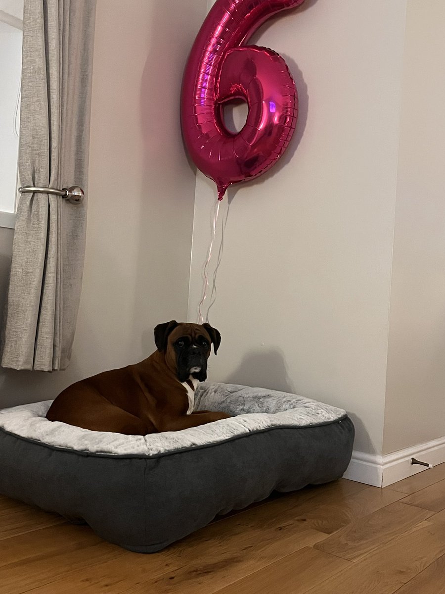 Jfad2000uk 1️⃣2️⃣0️⃣ tweet media